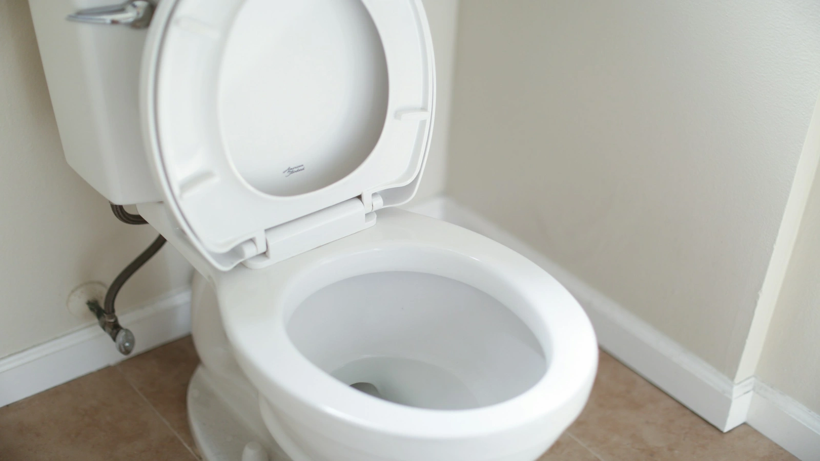 Unclog toilet DIY finished result — clean, professional look